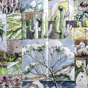 Gallery 2026