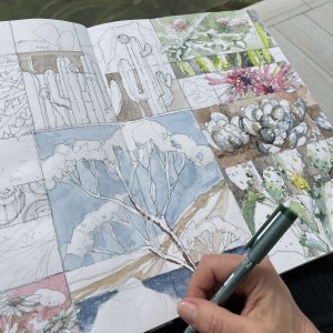 Gallery 2026